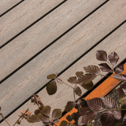 Fiberon 24x133mm 366cm Protect Plus Latte