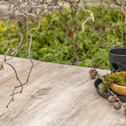 GeoCeramica®2Drive 60x30x6 - Timber Noce