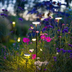 Sway Tube Low Black 45 cm.