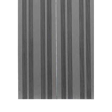 WPC dekdeel 2,5x25x395cm Dark grey