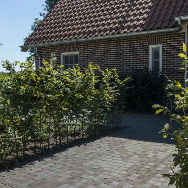 Iseo antica zwart-bruin dikformaat 65