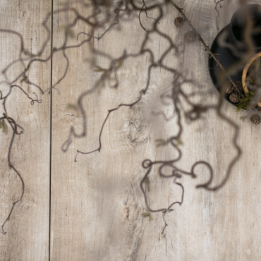 GeoCeramica® 60x30x4 - Timber Tortera