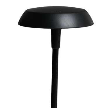 Sway Cap Black
