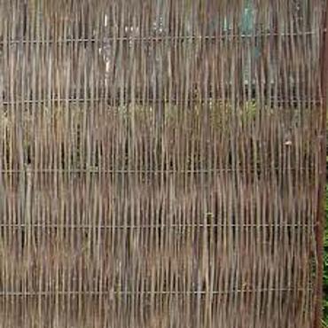 Wilgenscherm Stingray 180x180cm