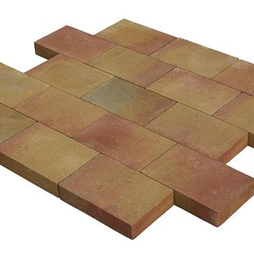 Vlaksteen 20x30x6 terrageel