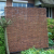 Wilgenscherm Stingray 180x180cm