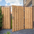 Geschaafde plank douglas 180x16x1,8 cm Blank