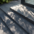 Schellevis Oudhollands Traptrede 40x20x100 Carbon