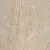 GeoCeramica® Pointer 100x100x4 - Bresscia Beige